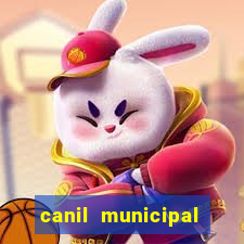 canil municipal porto alegre